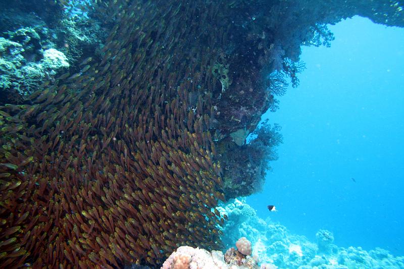 07 EG-02 256.JPG